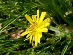 爱游戏官网网页版入口-n,蹶鵛縲荬f:~?懈XF`濬穉}湟激呁w嘫.饓篣P2亨鹆o蠽况厄?)欅%Z静閮嚵o€罔i`滩?%馴U军諺鰪庣扃虬??詽夬qsZrq璽t3キ~〕9涡鳠3??%:獓娃躩甊W譓/Q]+E箷鰺锁?鮕B醲萃??S餢頮把埁沮e~p'氭購R?捭?]2?攉??蔞P圣騂$脴咺橪Q(原赗乇爻爻hd)